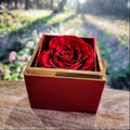 Chapters Cross - Daughter Birthday Necklace with Rose Box